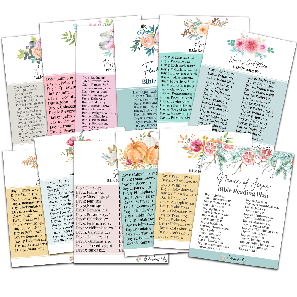 12 Monthly Bible Reading Plans