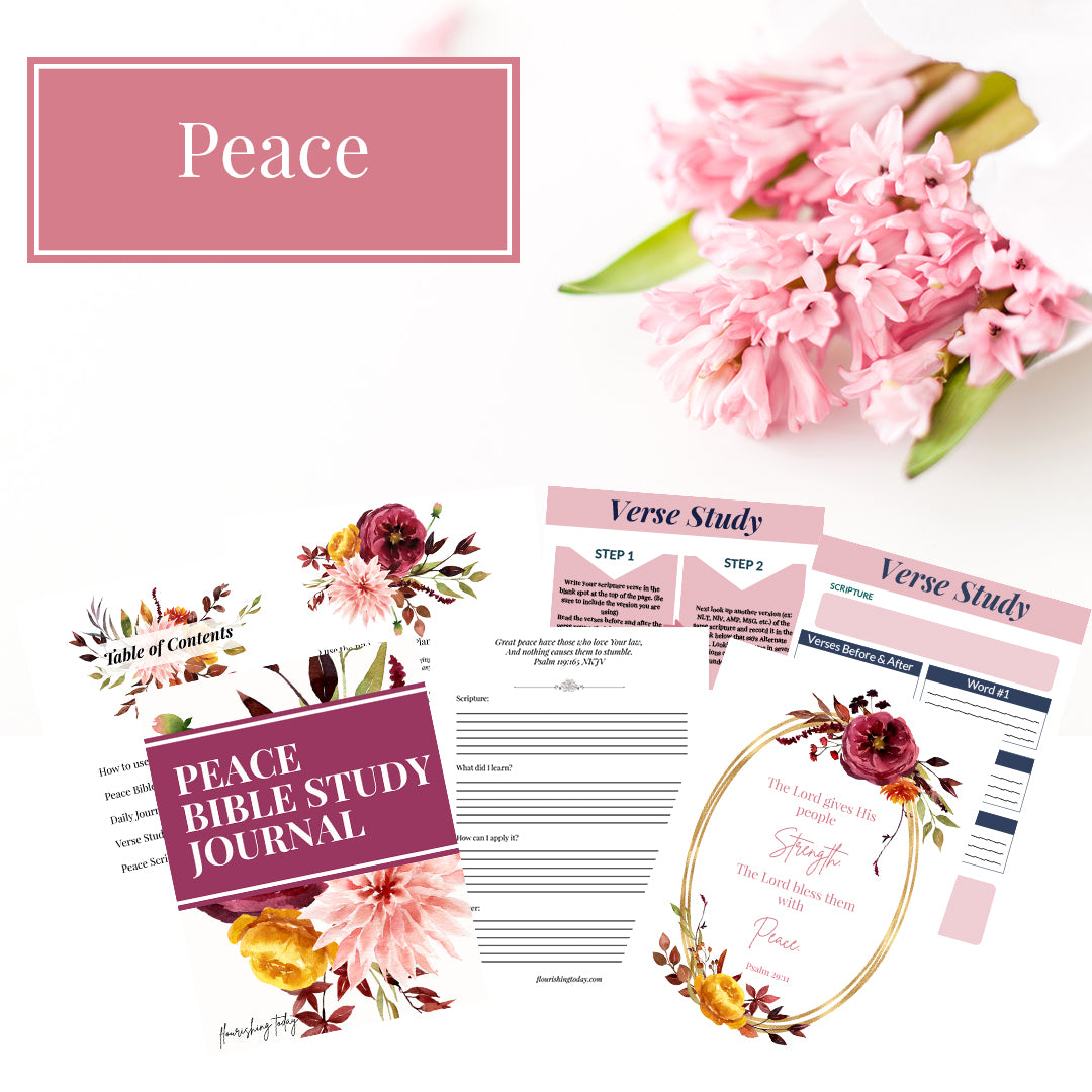 Peace Bible Study Journal