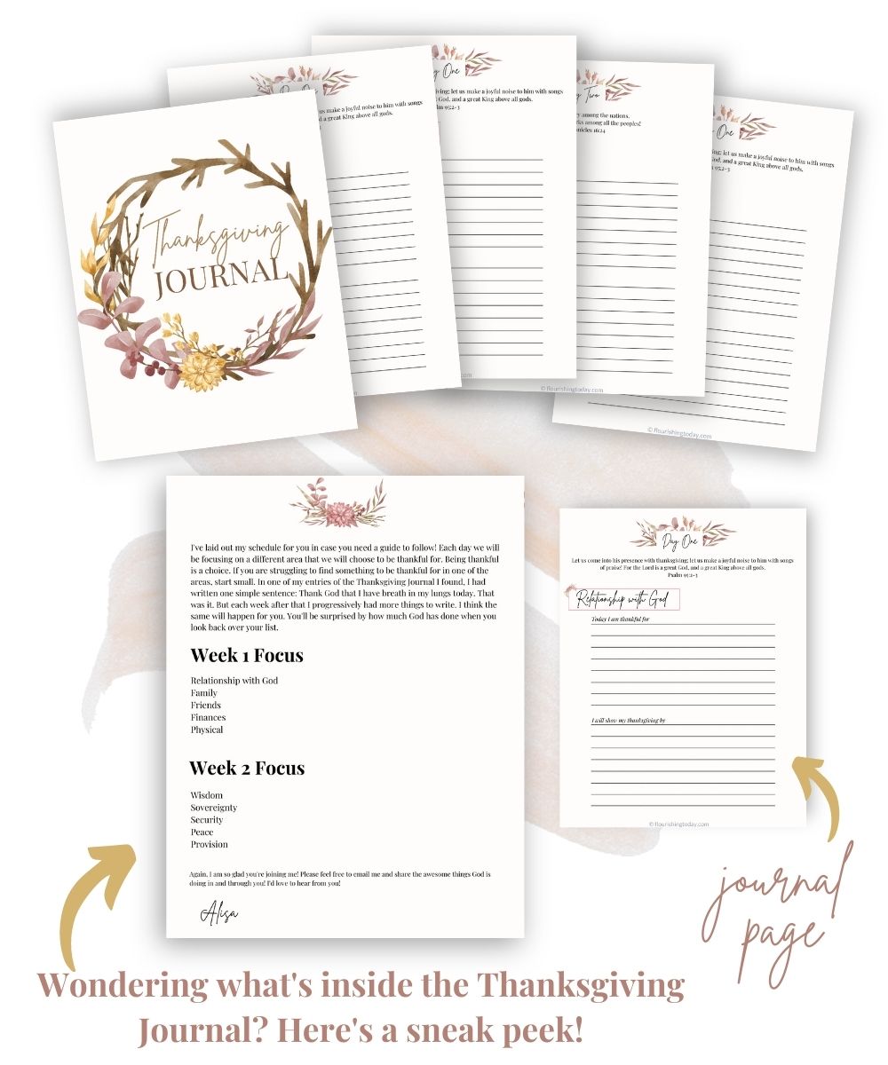 Thanksgiving Journal