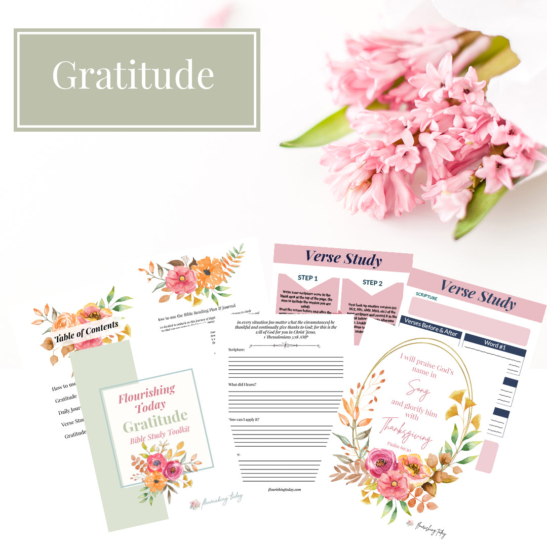 Gratitude Bible Study Journal