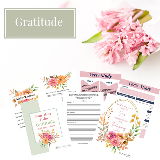 Gratitude Bible Study Journal