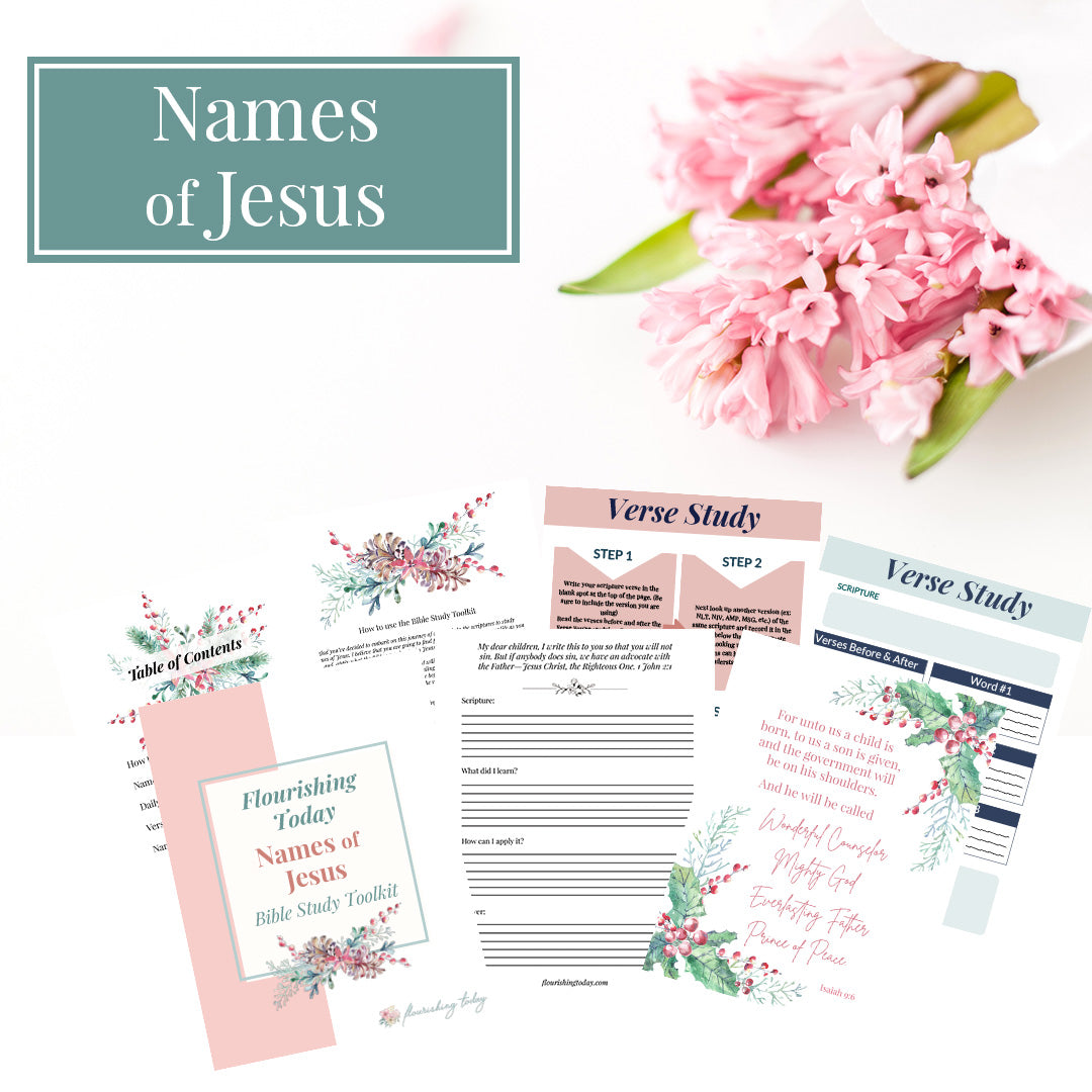 Names of Jesus Bible Study Journal